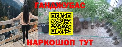соль ск Аша