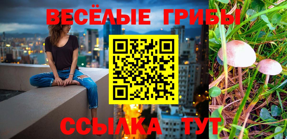 Сатка  Псилоцибиновые грибы MAGIC MUSHROOMS  Вход с VPN 